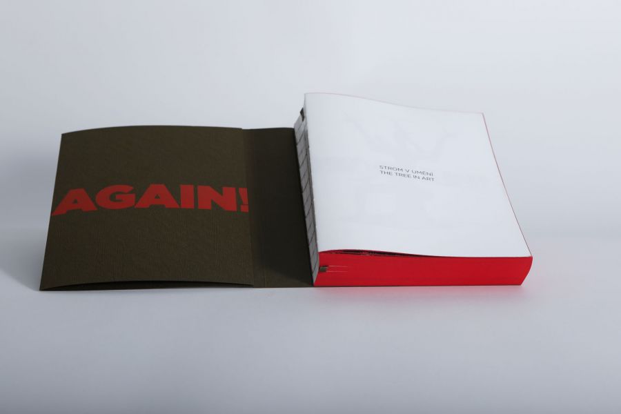 Katalog Let It GROW Again!